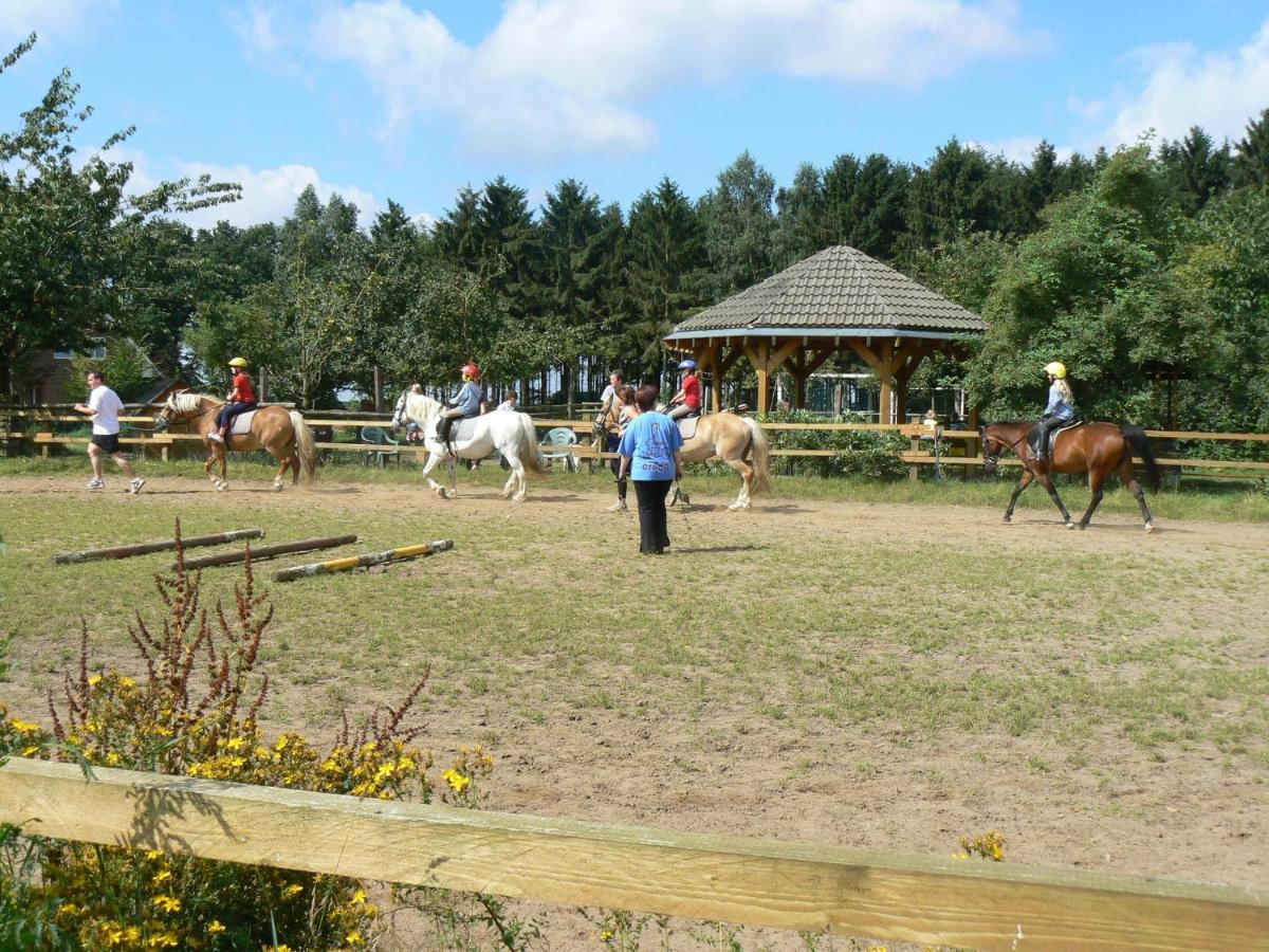 Ferienhof Frohne - Up Den Heibalken Merzen